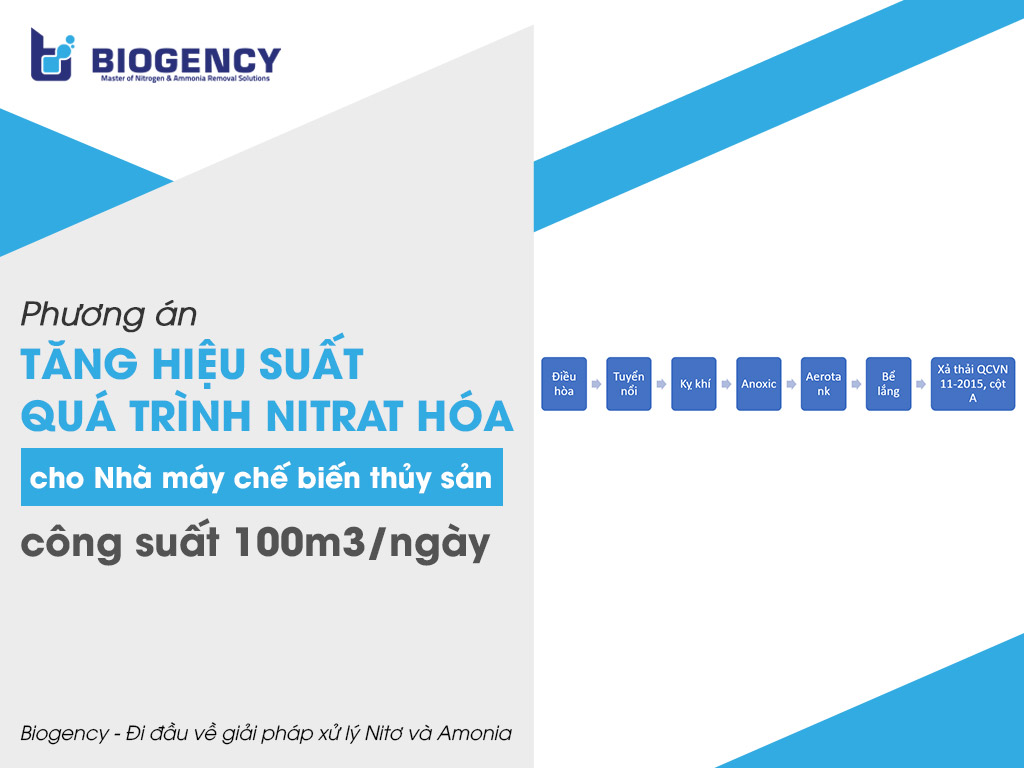 Phương án tăng hiệu suất quá trình Nitrat hóa cho Nhà máy chế biến thủy sản, công suất 100m3/ngày