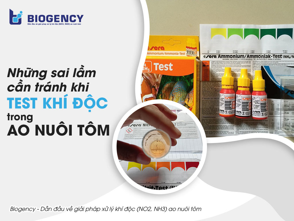 Những sai lầm cần tránh khi test khí độc trong ao nuôi tôm