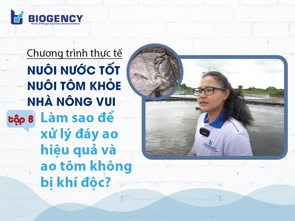 Xử lý đáy ao