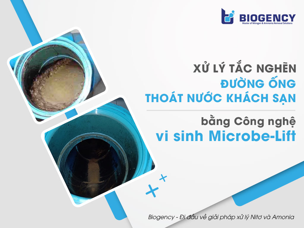 Xử lý tắc nghẽn đường ống thoát nước khách sạn bằng Công nghệ vi sinh Microbe-Lift