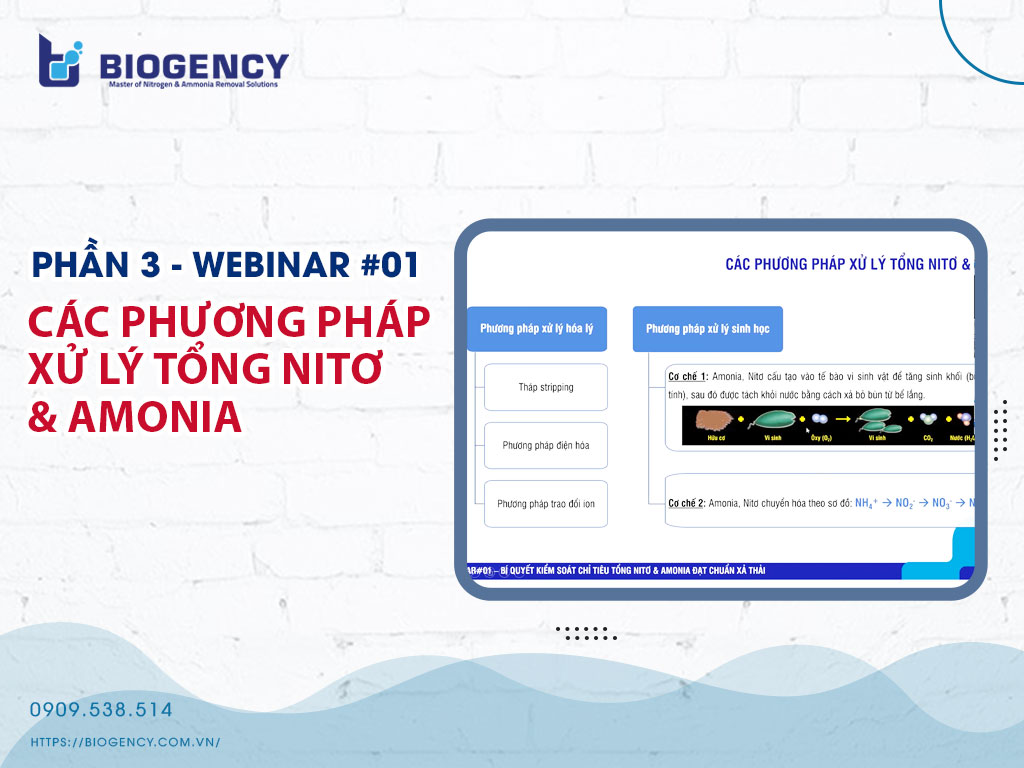 Xử lý tổng nitơ