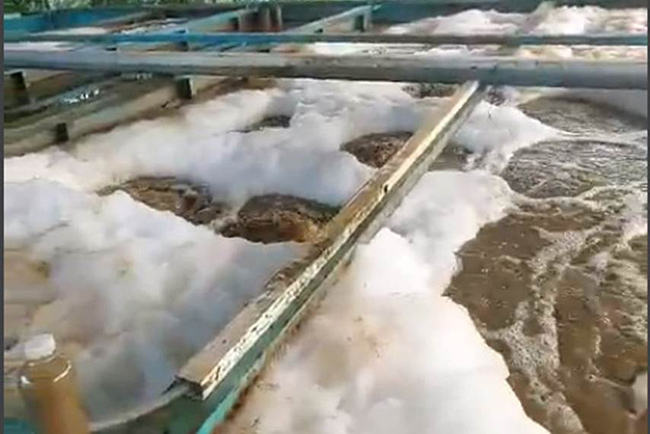 Bọt trắng xuất hiện ở bể hiếu khí trong giai đoạn khởi động, nuôi cấy vi sinh ban đầu.