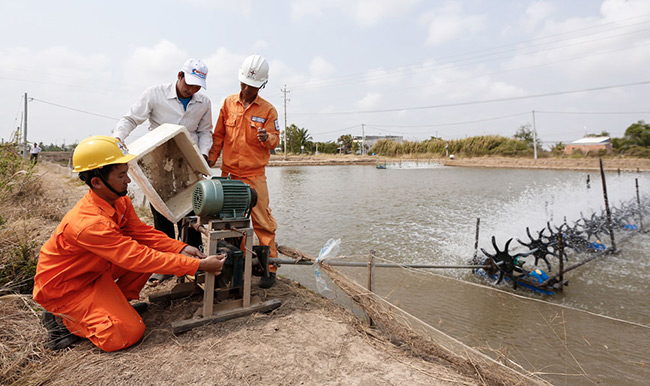 Chi phí về điện năng cũng là vấn đề nên được quan tâm của các ao tôm hiện nay.