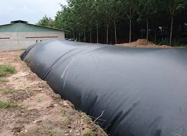 Hình ảnh về hầm Biogas trong chăn nuôi.