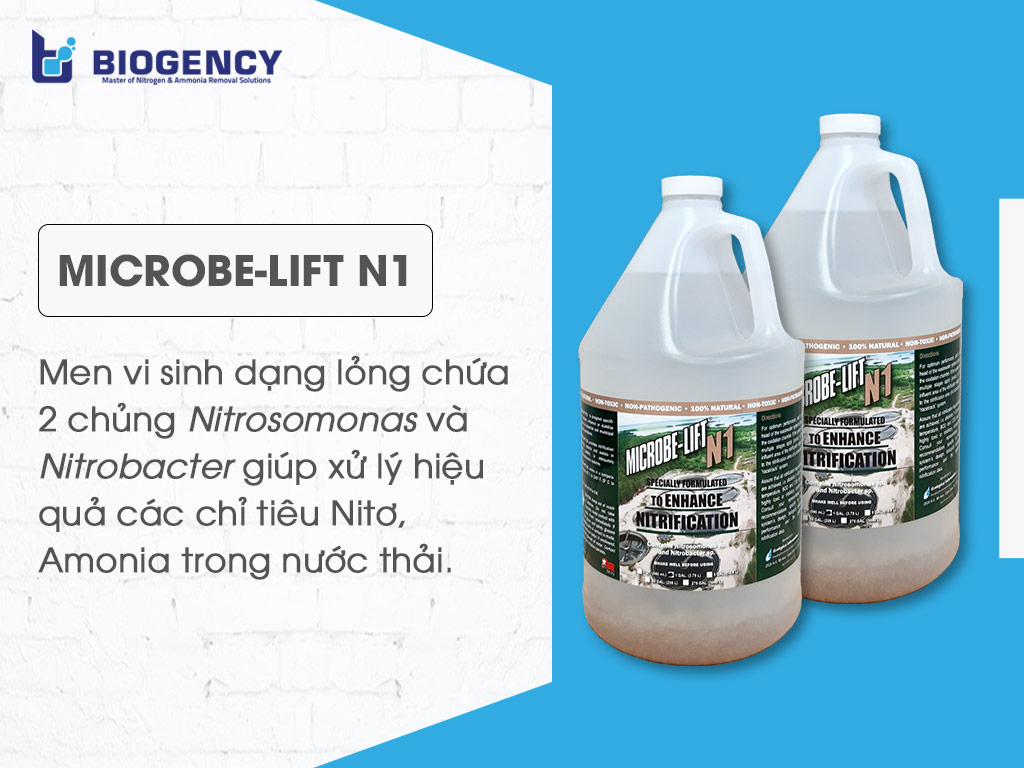 Microbe-Lift N1 - Men vi sinh dạng lỏng chứa 2 chủng Nitrosomonas và Nitrobacter giúp xử lý hiệu quả các chỉ tiêu Nitơ, Amonia trong nước thải.