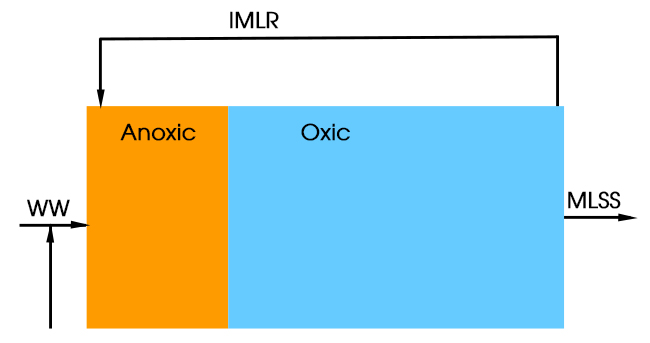 Mô tả quá trình tuần hoàn Nitrat.