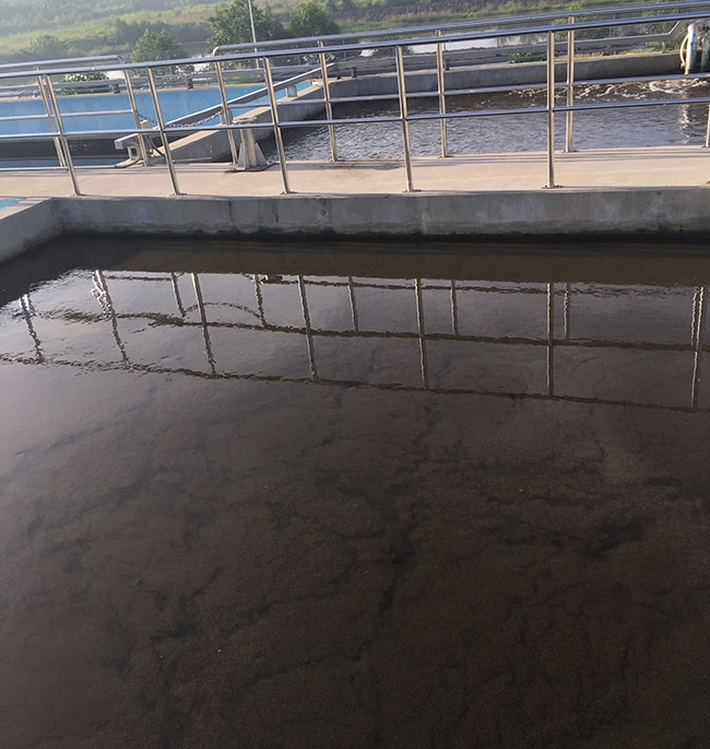 Bể Anoxic trong công nghệ AO được ứng dụng để khử Nitrat.