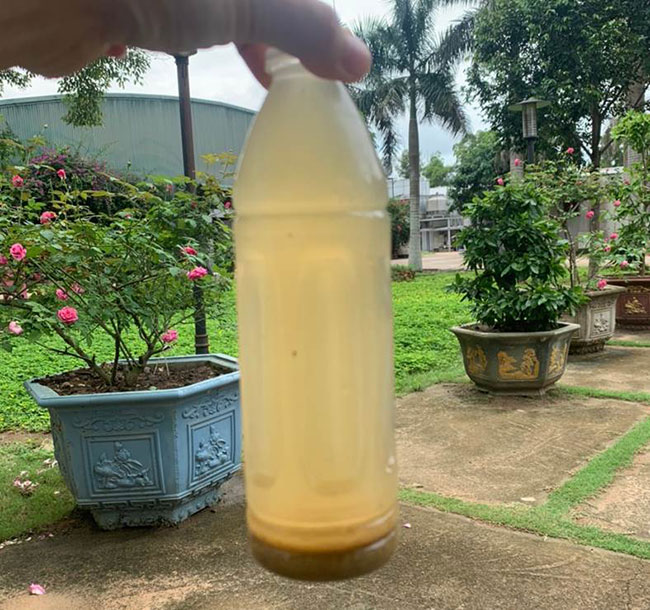 Bùn vi sinh li ti, nước đục, MLSS tăng chậm ở giai đoạn khởi động hệ thống xử lý nước thải.