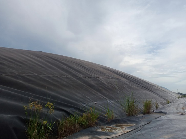 Hầm Biogas sinh khí căn bạt khi sử dụng men vi sinh Microbe-Lift.