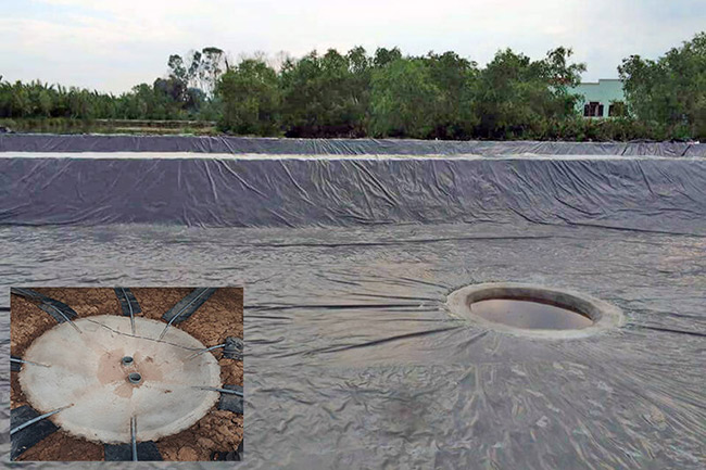 Hố xi-phông giúp nền đáy ao nuôi sạch cặn, nhớt.