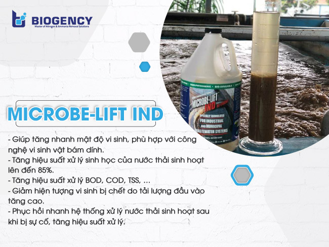 Men vi sinh xử lý nước thải sinh hoạt Microbe-Lift IND.
