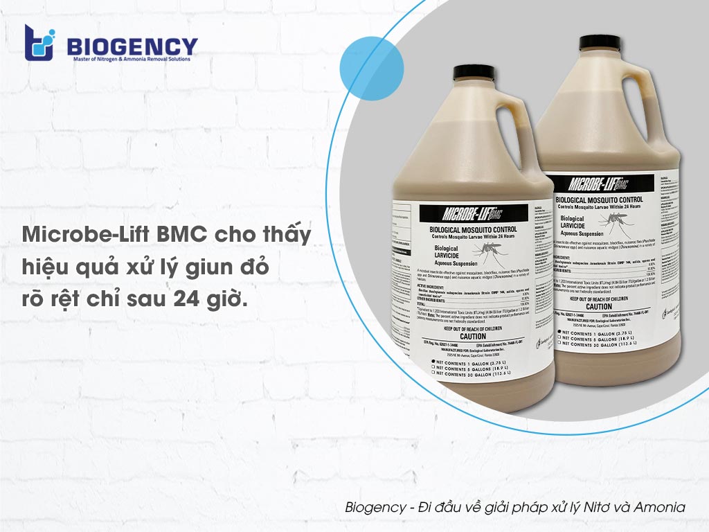 Microbe-Lift BMC cho thấy hiệu quả xử lý giun đỏ rõ rệt chỉ sau 24 giờ.