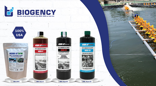 Quy trình nuôi tôm của BIOGENCY ứng dụng 4 dòng men vi sinh thủy sản đến từ thương hiệu Microbe-Lift.