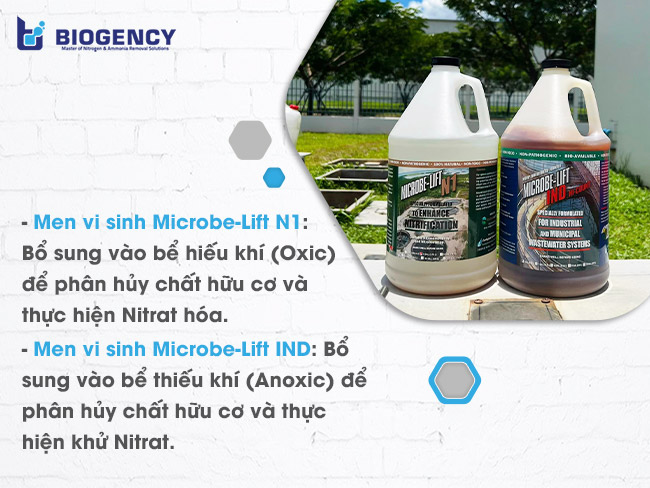 Bộ đôi men vi sinh Microbe-Lift bổ sung vào bể sinh học ứng dụng công nghệ AO để xử lý nước thải
