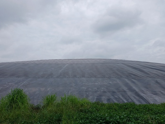 Hầm Biogas sinh khí, căng bạt.