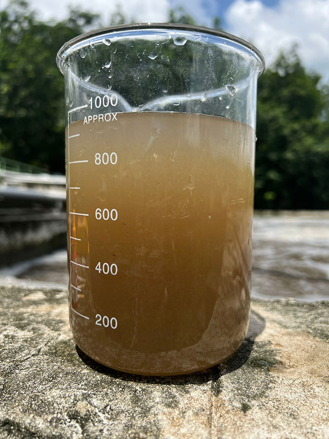 SV30 trước khi sử dụng Microbe-Lift, bùn mịn khó lắng, nước đục.