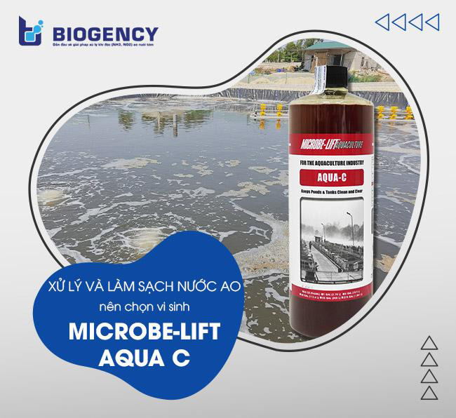 Tạo môi trường nước cho ao nuôi bằng Men vi sinh Microbe-Lift AQUA C.