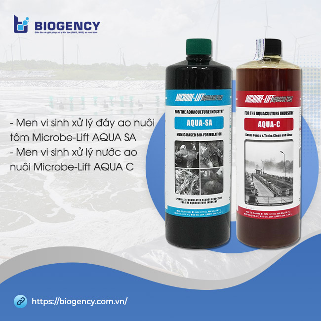 Bộ đôi men vi sinh xử lý đáy ao nuôi tôm Microbe-Lift AQUA SA và xử lý nước ao nuôi Microbe-Lift AQUA C.