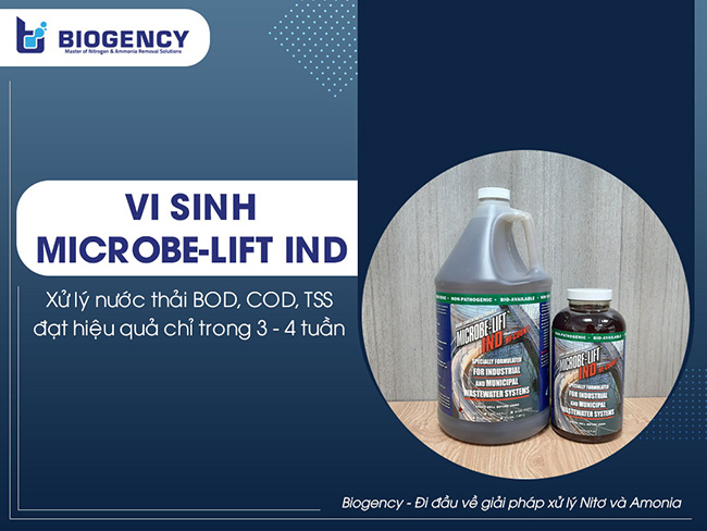 Ngoài khả năng giúp khởi động HTXLNT hiệu quả, Microbe-Lift IND còn góp phần đưa chỉ tiêu BOD, COD, TSS đạt chuẩn xả thải.