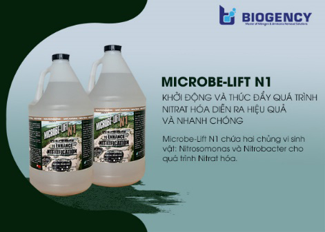 men vi sinh Microbe-Lift N1
