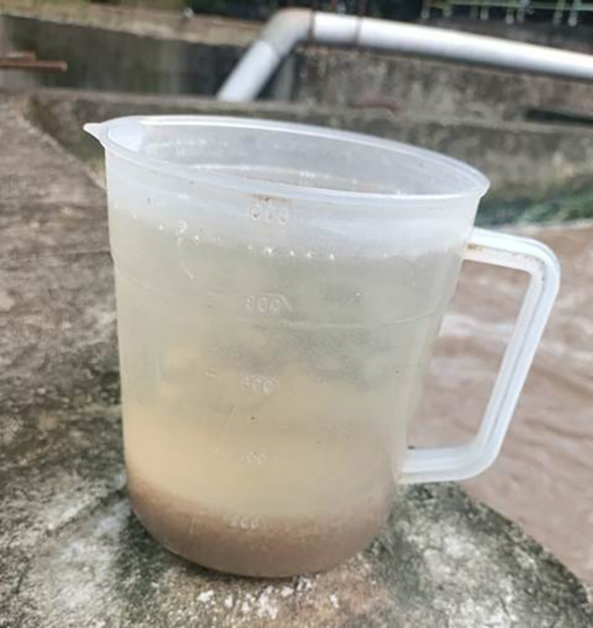 SV30 sau khi sử dụng Microbe-Lift, bông bùn to, lắng nhanh, nước trong.