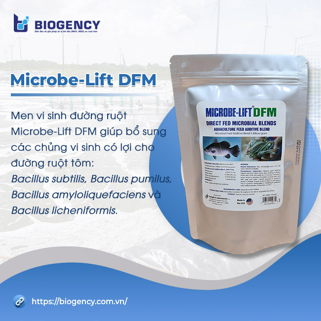 Men vi sinh đường ruột Microbe-Lift DFM hỗ trợ tôm tiêu hóa tốt.