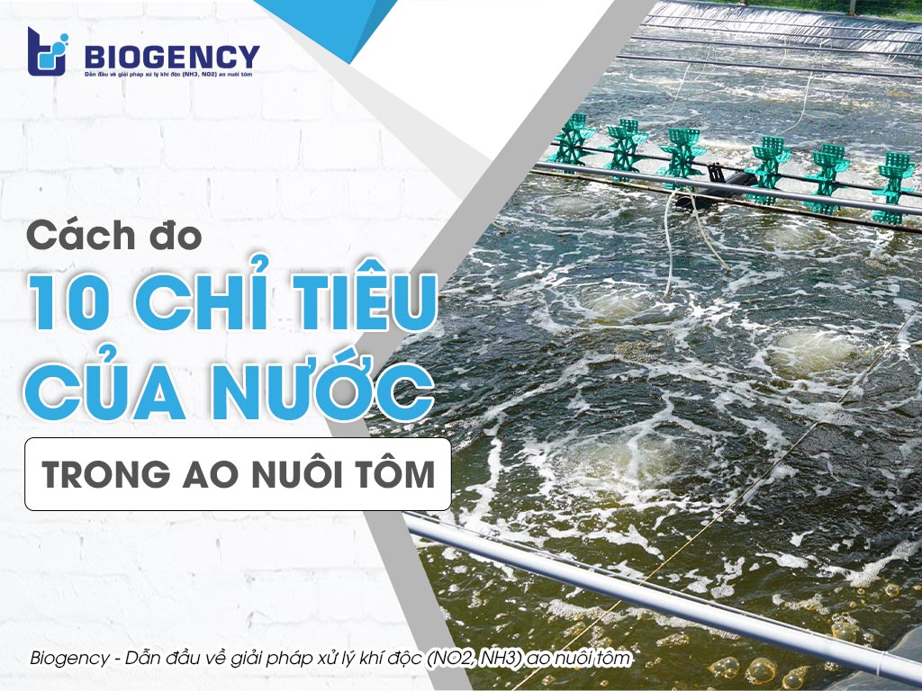 Cách đo 10 chỉ tiêu của nước trong ao nuôi tôm