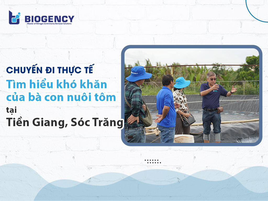 Chuyến đi thực tế