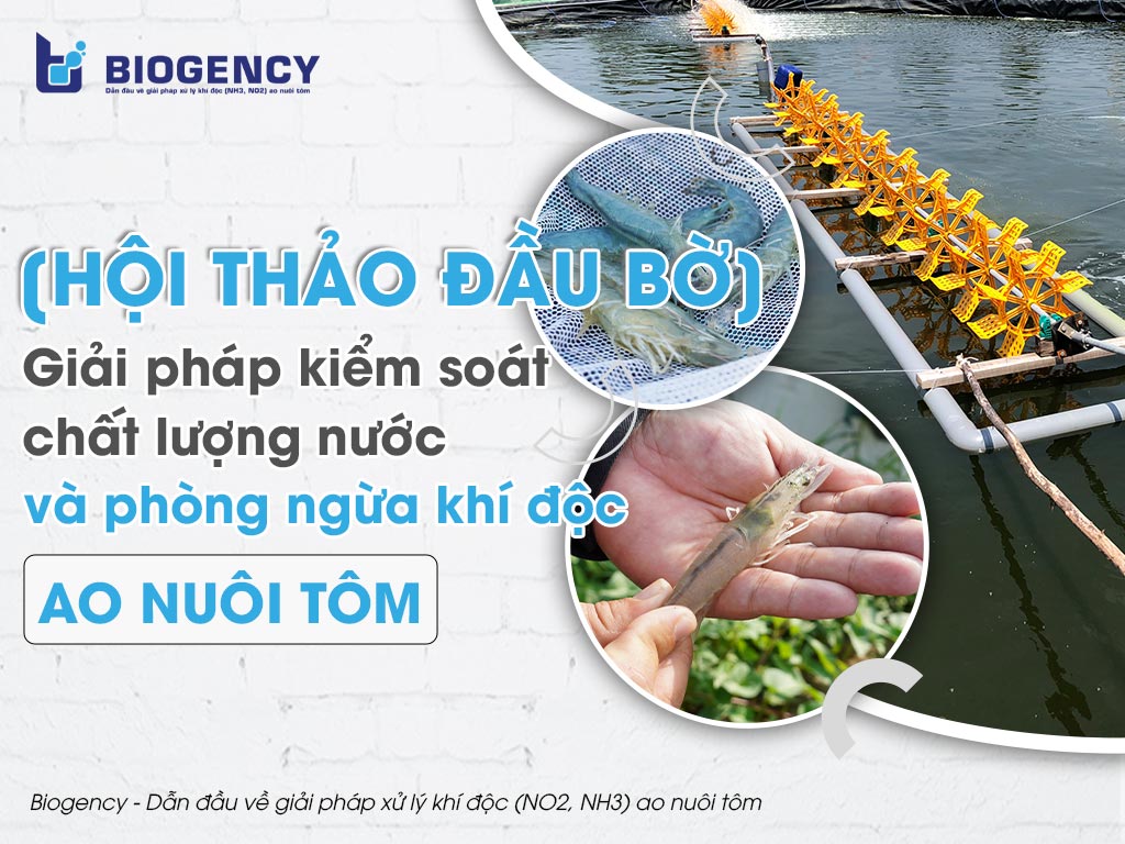 [HỘI THẢO ĐẦU BỜ] - Giải pháp kiểm soát chất lượng nước và phòng ngừa khí độc ao nuôi tôm