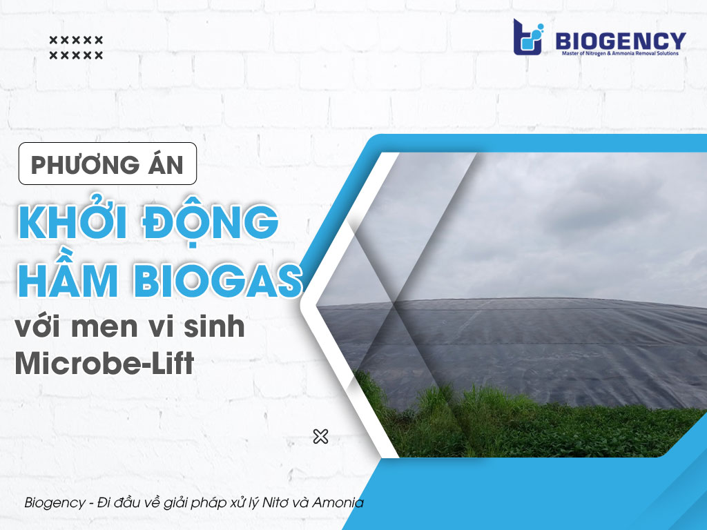 Phương án khởi động hầm Biogas với men vi sinh Microbe-Lift