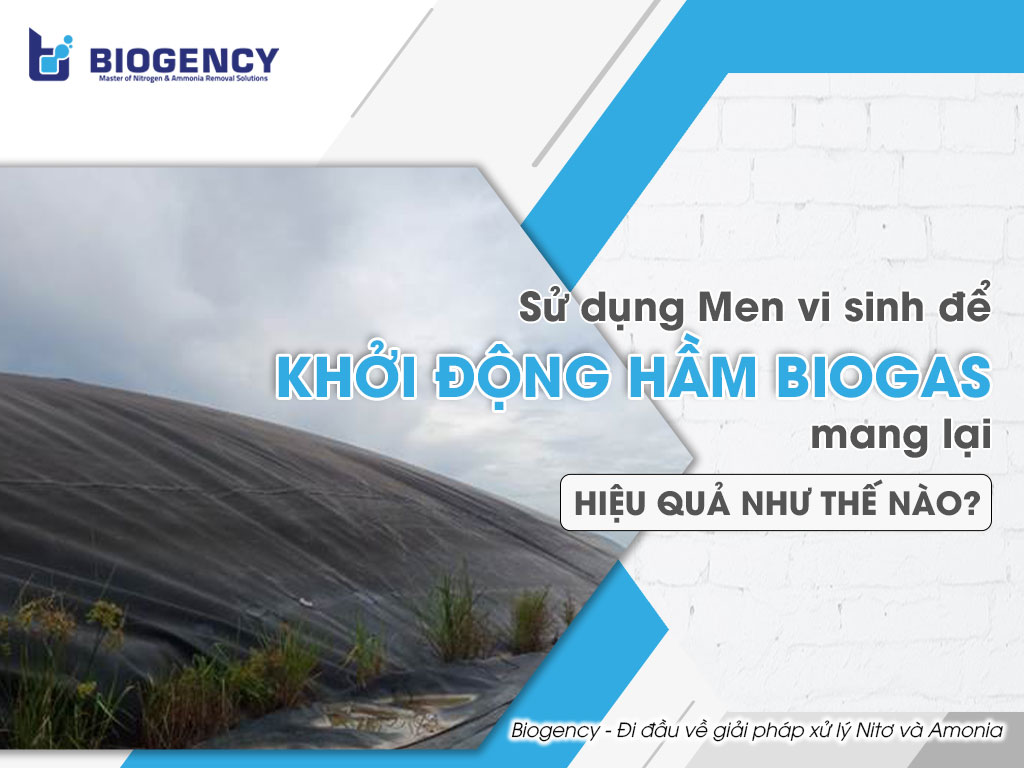 Sử dụng Men vi sinh để khởi động hầm Biogas mang lại hiệu quả như thế nào?