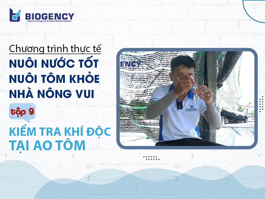 kiểm tra khí độc