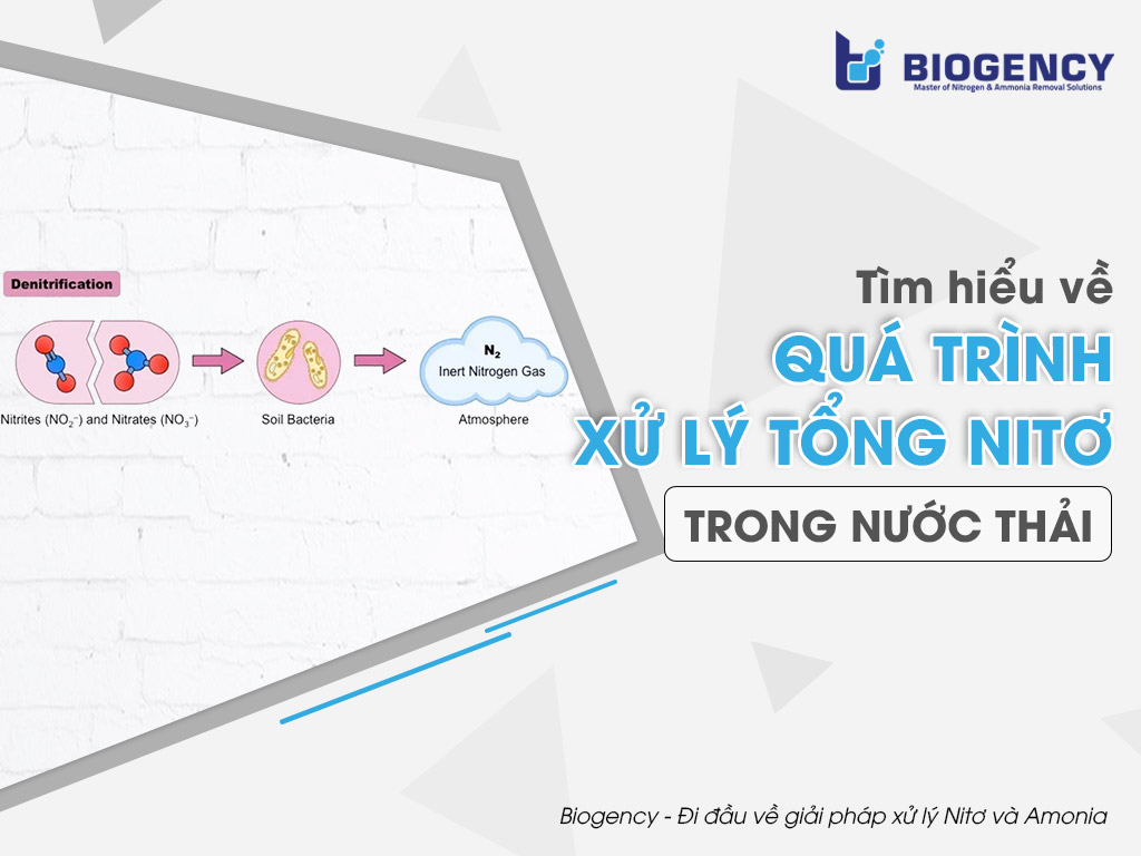 Tìm hiểu về Quá trình xử lý Tổng Nitơ trong nước thải
