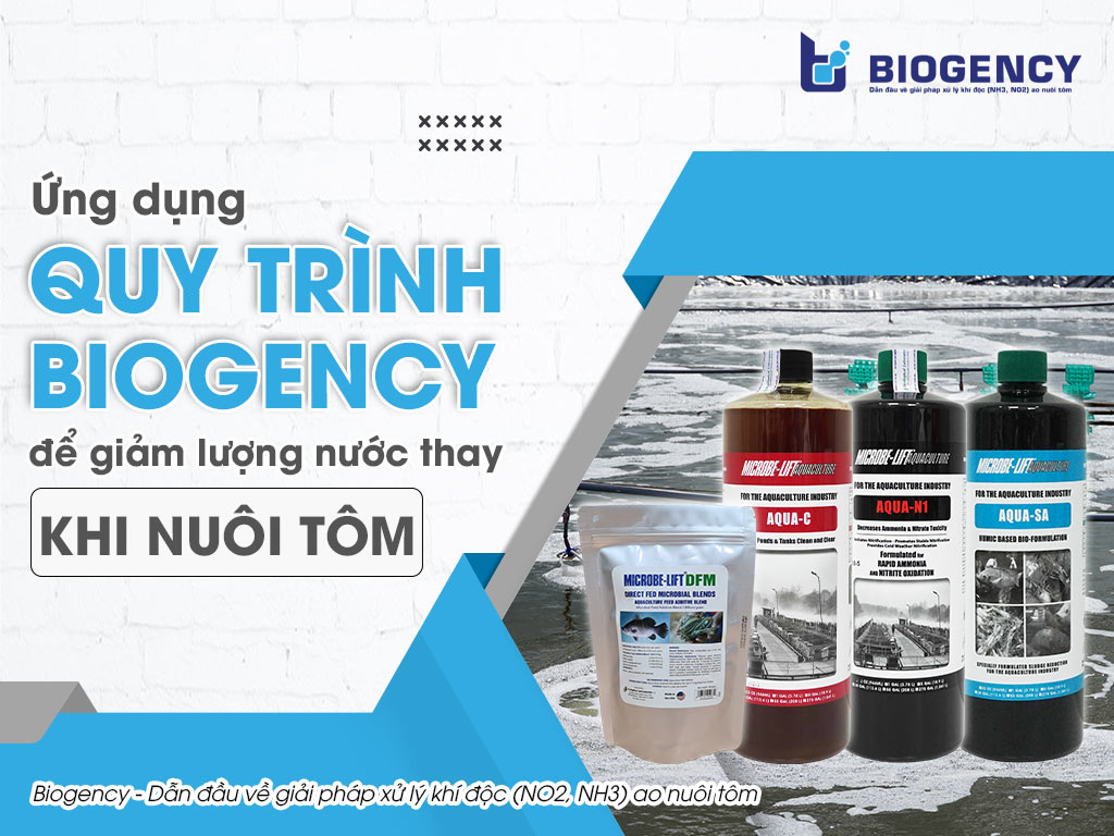 Ứng dụng quy trình BIOGENCY để giảm lượng nước thay khi nuôi tôm