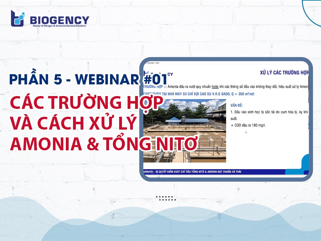 Xử lý Amonia