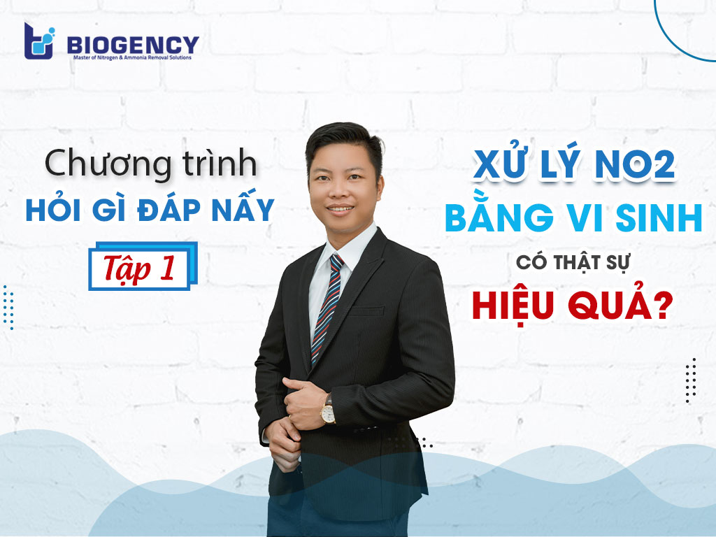 Xử lý NO2 bằng vi sinh