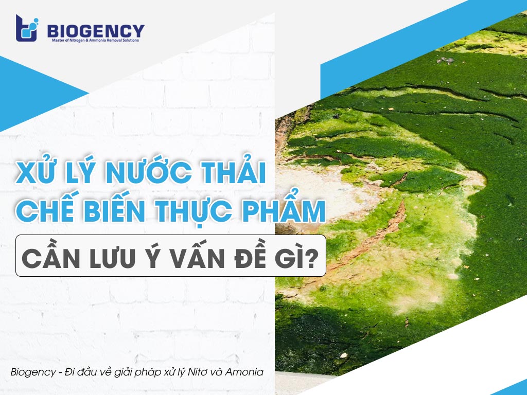 Xử lý nước thải chế biến thực phẩm cần lưu ý vấn đề gì?