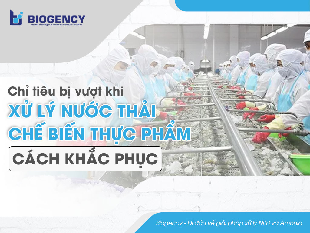 Chỉ tiêu nào thường bị vượt khi xử lý nước thải chế biến thực phẩm? Đâu là giải pháp khắc phục?