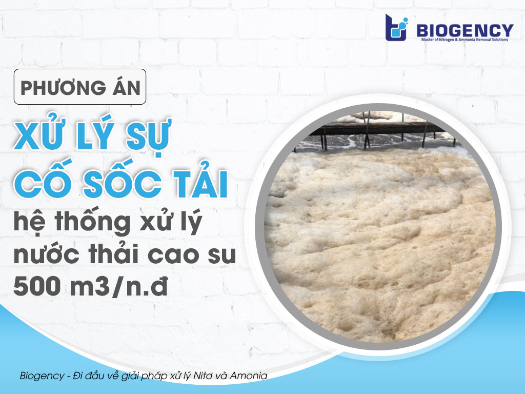 Phương án xử lý sự cố sốc tải hệ thống xử lý nước thải cao su 500 m3/n.đ