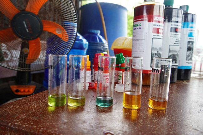 Đo nồng độ NO2 trong ao tôm bằng bộ test là cách kiểm tra khí độc nhanh tại ao.