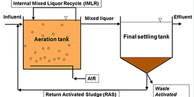 Mô tả quá trình tuần hoàn bùn (RAS) trong hệ thống xử lý nước thải.