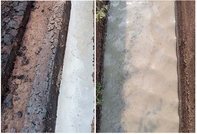 Nước thải nhà máy tinh bột sắn có màu trắng đục hoặc màu cà phê sữa, chứa hàm lượng ô nhiễm hữu cơ cao.