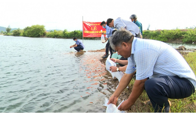 Chủ động bảo vệ môi trường thủy sản.