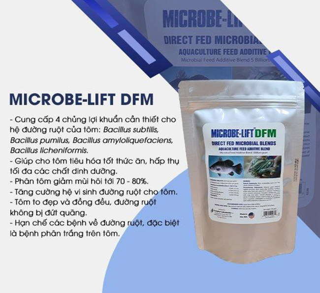 Có thể bổ sung men đường ruột khi cho tôm ăn trong giai đoạn mới thả nuôi để tăng khả năng tiêu hóa của tôm.