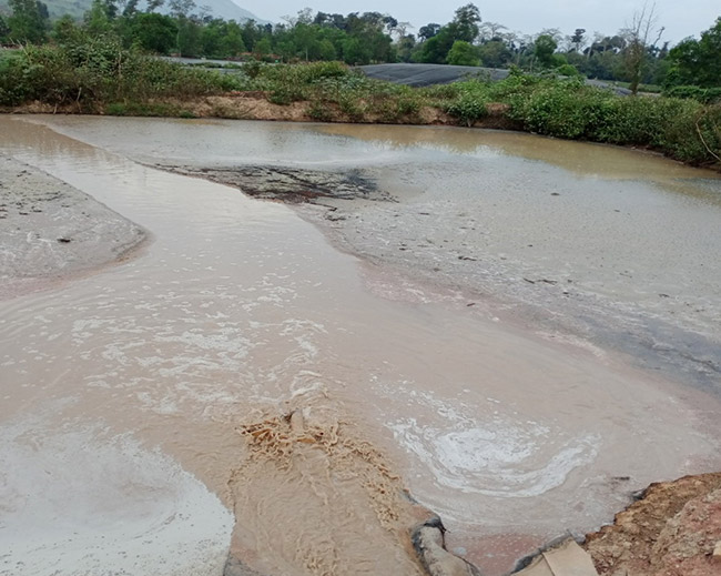 Hiểu về đặc trưng của nước thải nhà máy tinh bột sắn giúp ích rất nhiều cho quá trình xử lý.