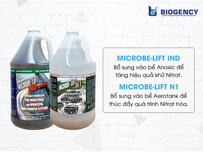 Men vi sinh Microbe-Lift giúp xử lý hiệu quả Nitơ Amonia sau hầm Biogas.