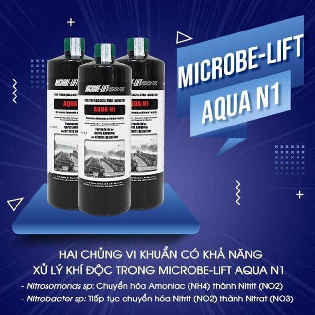 Men vi sinh Microbe-Lift AQUA N1 - Sản phẩm vi sinh nhập khẩu nguyên chai từ Mỹ, chuyên dùng để trị và phòng ngừa khí độc trong ao nuôi tôm.