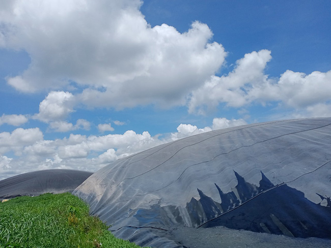 Hầm Biogas trong hệ thống xử lý nước thải tinh bột khoai mì.
