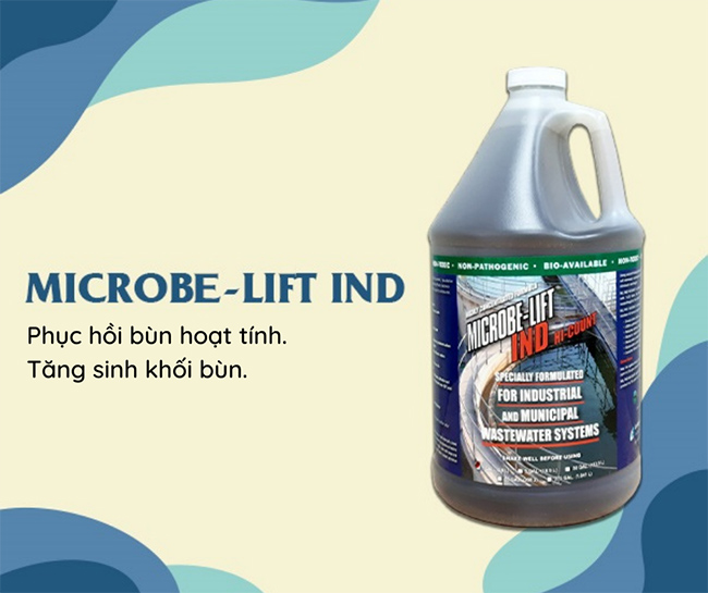 Men vi sinh Microbe-Lift IND giúp phục hồi bùn hoạt tính, tăng sinh khối bùn bị giun đỏ làm giảm.