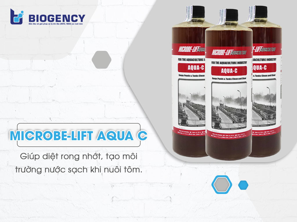 Men vi sinh Microbe-Lift AQUA C giúp diệt rong nhớt trong ao nuôi tôm hiệu quả.